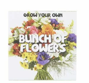 Topshop Grow Your Own Bunch Of Flowers Kit £10.00
